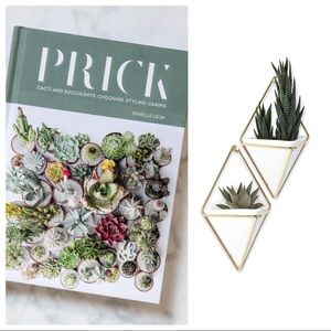 Cactus Succulent LOT — Wall Vessels & PRICK Book